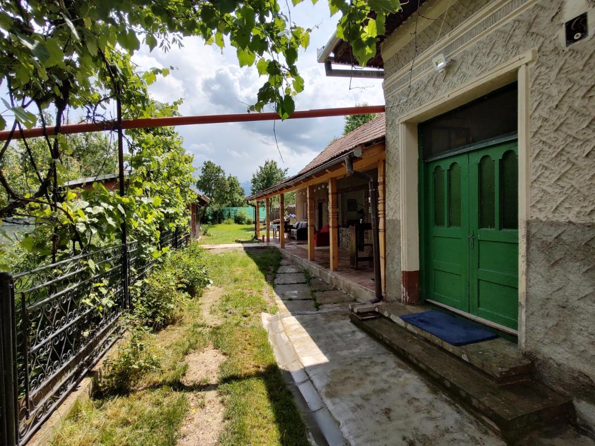 La Tataia Zahei Otel Dragus Dış mekan fotoğraf